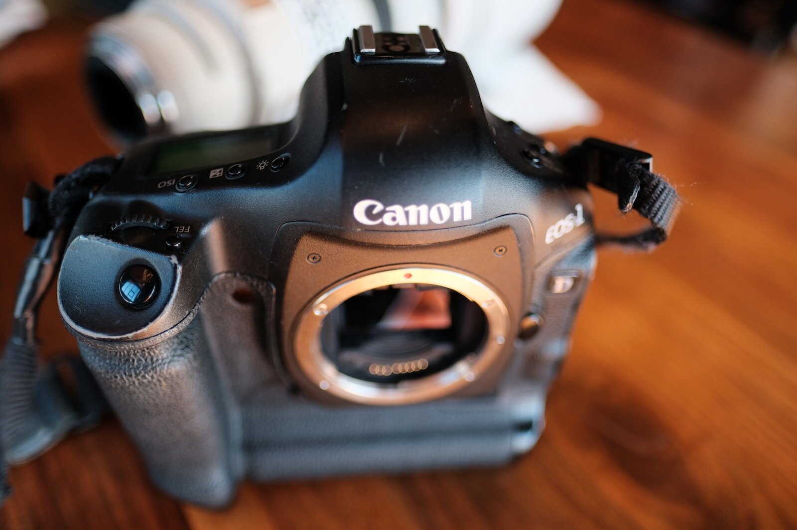 The Canon 1D mark IV review (2019) — The Most Beautiful World The Canon 1D mark IV review (2019) — The Most Beautiful World